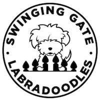 Swinging Gate Labradoodles