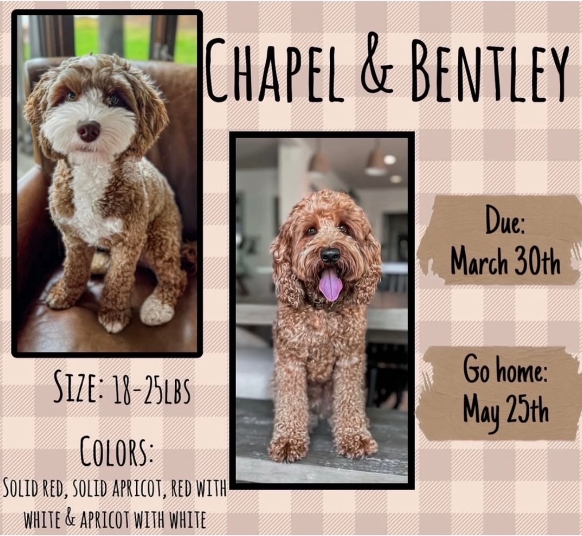 Screenshot chapel and bentley